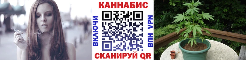 Шишки марихуана сатива  Купить где  Дегтярск 